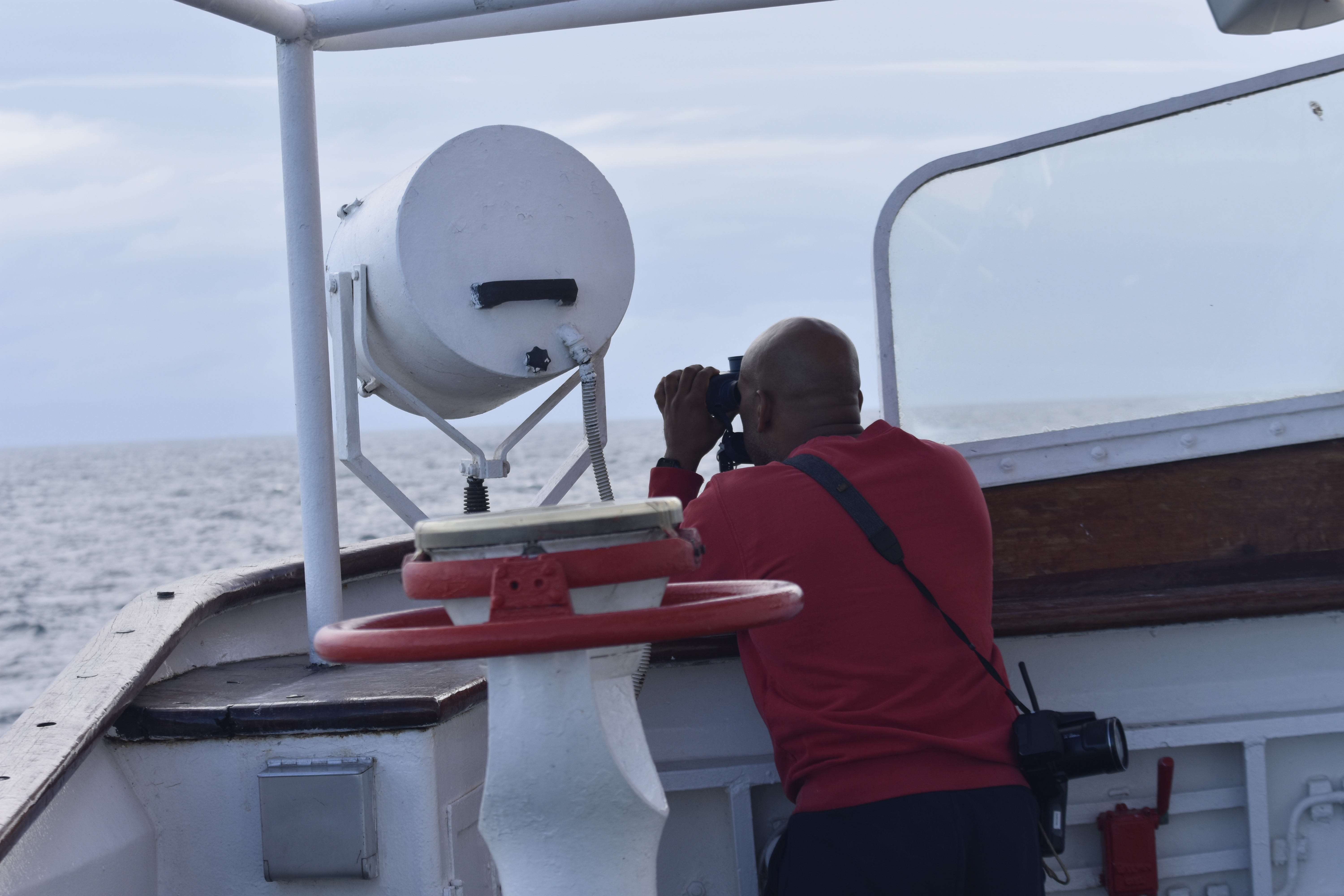Observação do ambiente marinho